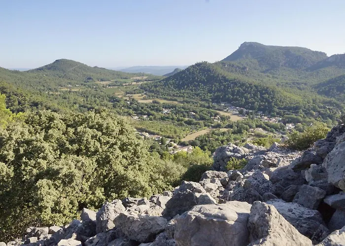 Le Petit Marronnier