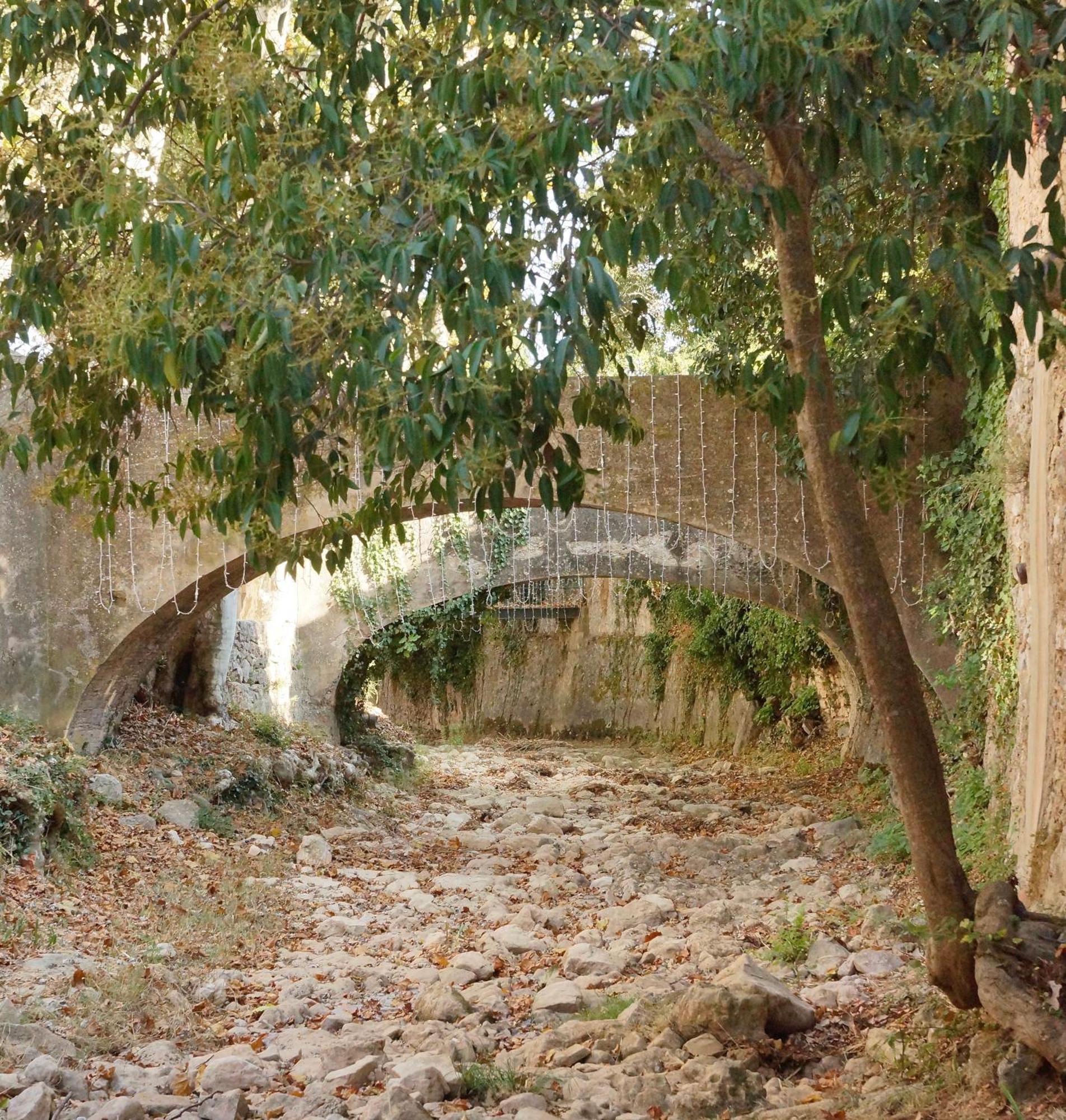 Le Petit Marronnier * La Roquebrussanne